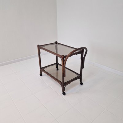 Mid-Century Italian Trolley in Bentwood and Smoked Glass, 1970s-RQL-2025999