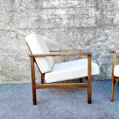 Mid-Century Modern Armchairs Model Bled from Stol Kamnik, 1960s, Set of 2-PUG-1251885