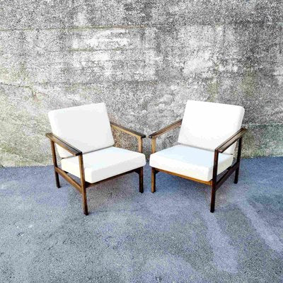 Mid-Century Modern Armchairs Model Bled from Stol Kamnik, 1960s, Set of 2-PUG-1251885