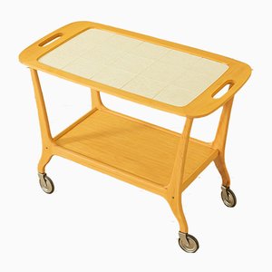 Mid-Century Modern Ash Trolley, 1950s-GPP-868329