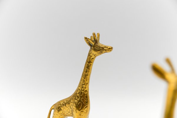 Mid-Century Modern Brass Giraffe & Lion Figurines, 1960s, Set of 5-KQB-1755707