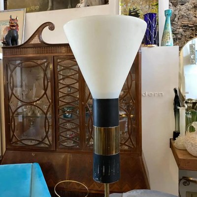 Mid-Century Modern Floor Lamp from Stilnovo, 1950s-NMK-1393903