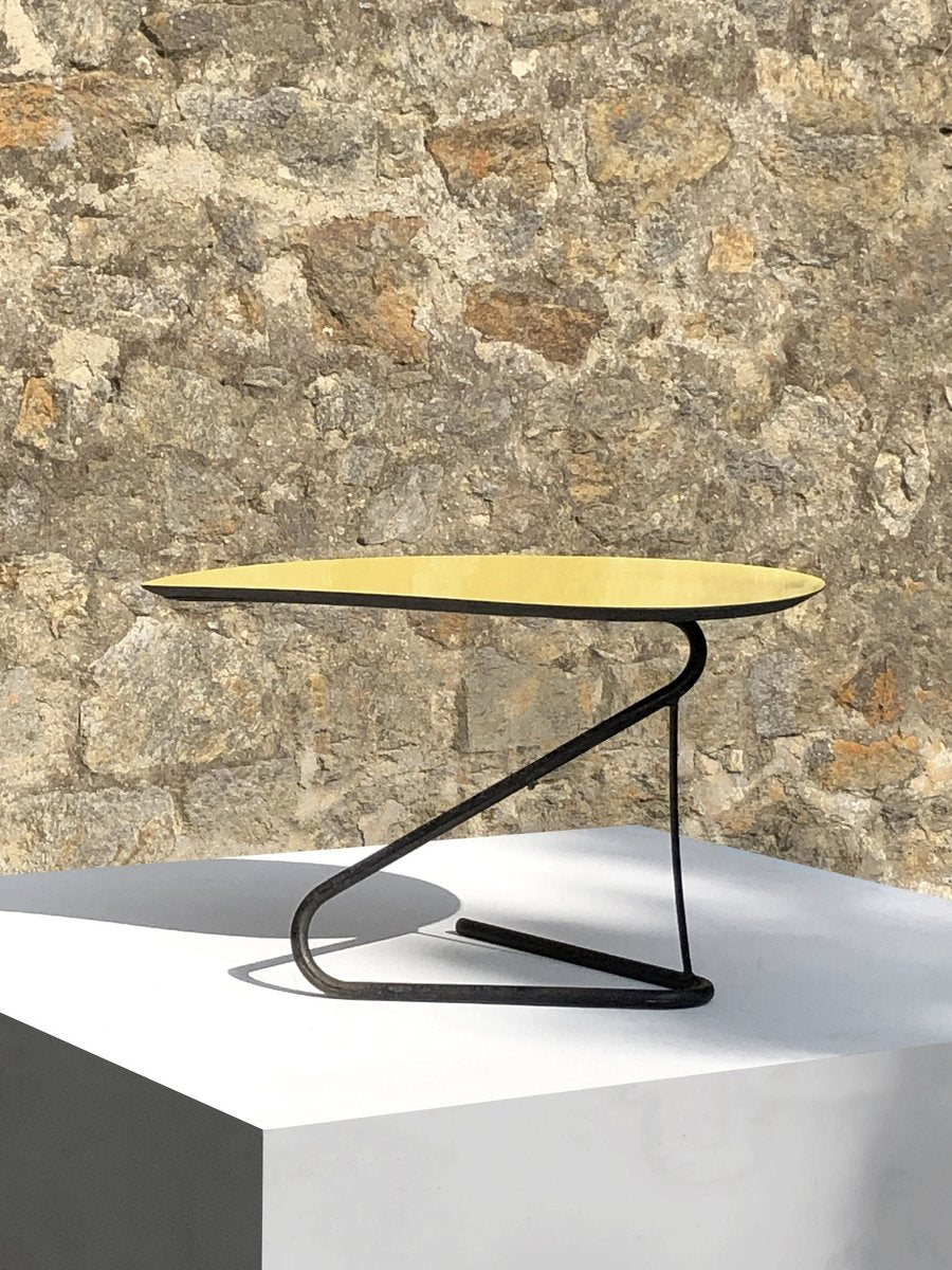 Mid-Century Modern Freeform Modernist Side or Coffee Table by Mathieu Matégot, France, 1950s