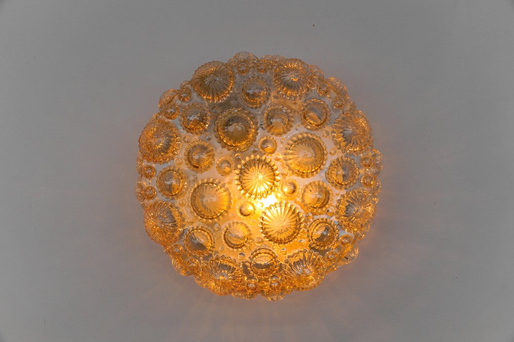 Mid-Century Modern Round Amber 3D Fossil Shell-Shaped Flush Mount, 1960s