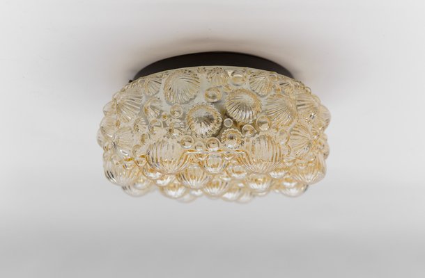 Mid-Century Modern Round Amber 3D Fossil Shell-Shaped Flush Mount, 1960s-KQB-1816915