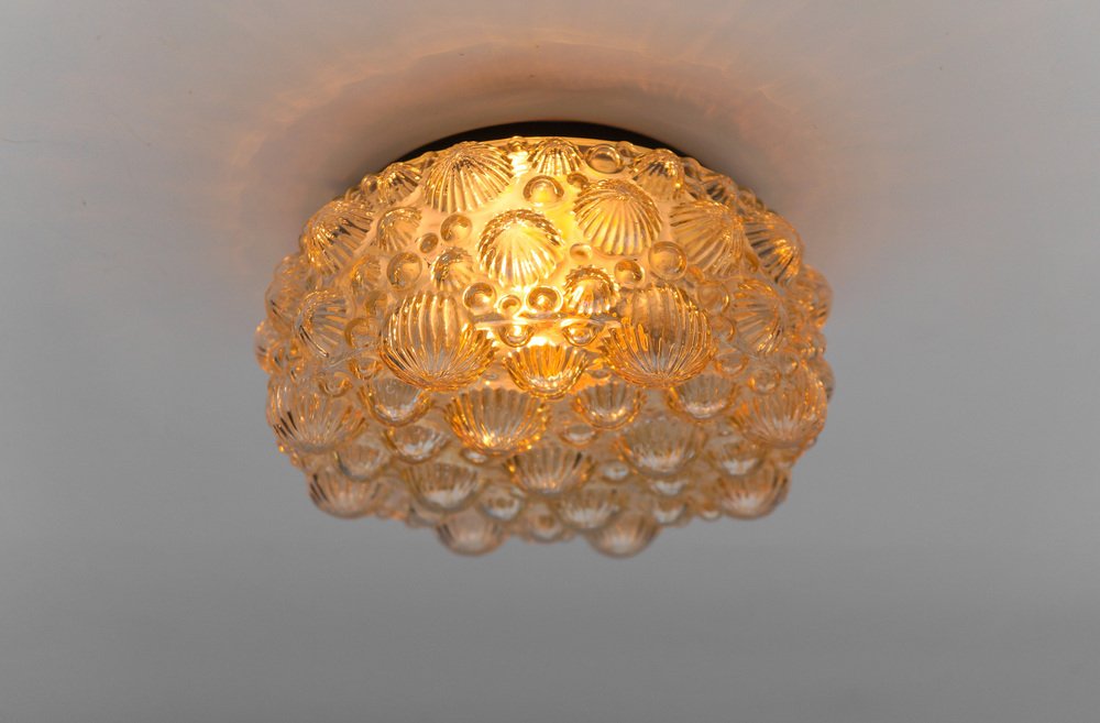 Mid-Century Modern Round Amber 3D Fossil Shell-Shaped Flush Mount, 1960s