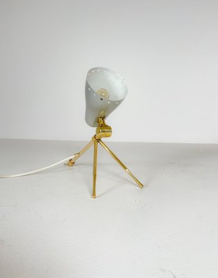 Mid-Century Modern Table Lamp by Boris Lacroix for Falkenbergs Belysning-UYK-1143045