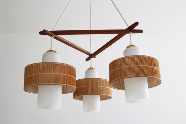 Mid-Century Modern Teak Raffia Pendant Lamp from Temde, 1960s-FJP-2028259