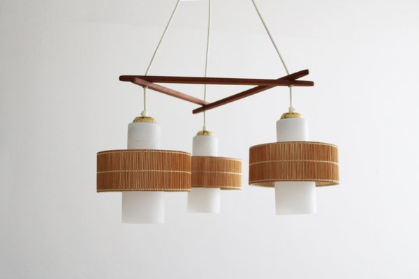 Mid-Century Modern Teak Raffia Pendant Lamp from Temde, 1960s-FJP-2028259