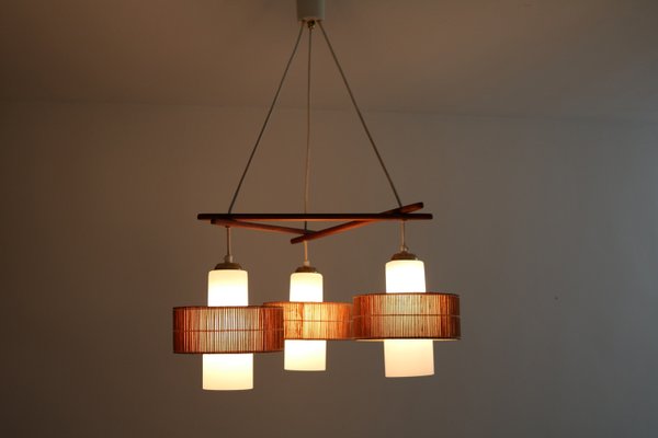 Mid-Century Modern Teak Raffia Pendant Lamp from Temde, 1960s-FJP-2028259