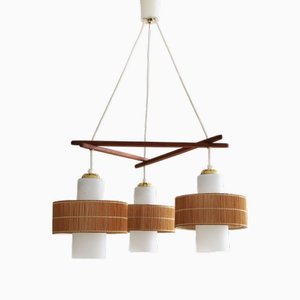 Mid-Century Modern Teak Raffia Pendant Lamp from Temde, 1960s-FJP-2028259