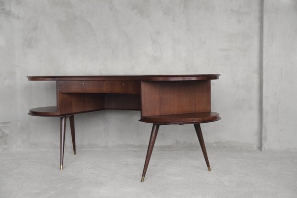 Mid-Century Modern Wenge Organic-Shaped Boomerang Custom Desk, 1960s-ZAA-614373