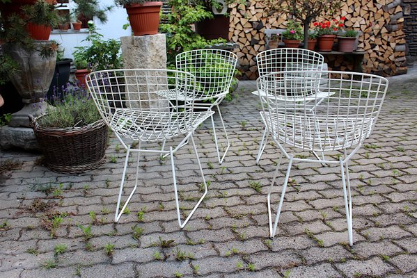 Mid-Century Modern White Chairs from Harry Bertoia, 1950s, Set of 4-NB-1071285