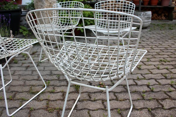 Mid-Century Modern White Chairs from Harry Bertoia, 1950s, Set of 4-NB-1071285