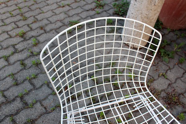 Mid-Century Modern White Chairs from Harry Bertoia, 1950s, Set of 4-NB-1071285