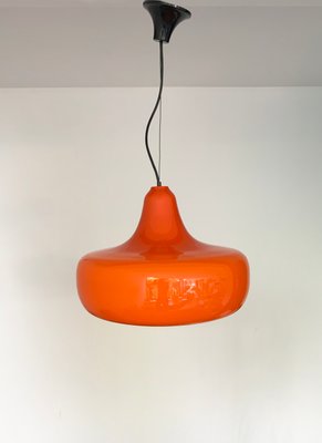 Mid-Century Murano Glass Pendant Lamp by Alessandro Pianon for Vistosi, 1960s-ZM-1398367