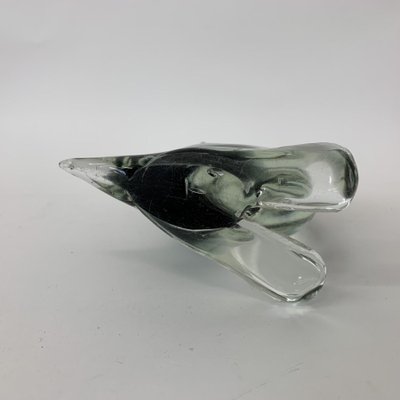 Mid-Century Murano Glass Toucan Bird, 1970s-BGP-1063225