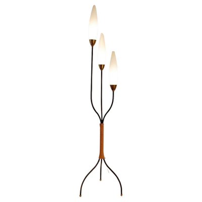 Mid-Century Opaline Floor Lamp, 1950s-JG-1813002