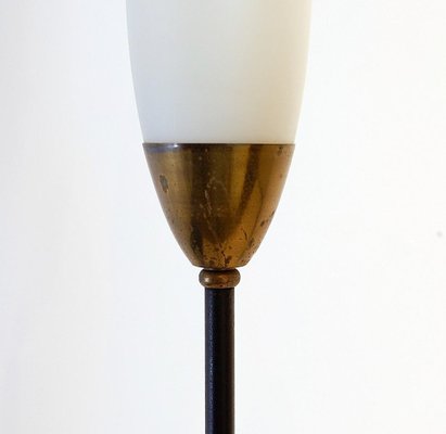 Mid-Century Opaline Floor Lamp, 1950s-JG-1813002