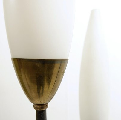 Mid-Century Opaline Floor Lamp, 1950s-JG-1813002