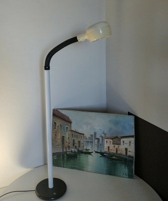 Mid-Century Plastic Floor Lamp from Fagerhult, Sweden, 1960s-ZST-717162