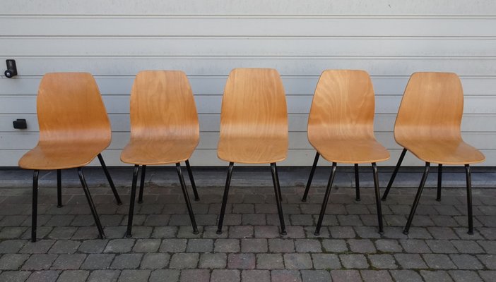 Mid-Century Plywood Chairs, 1960s, Set of 5-AWL-1279403