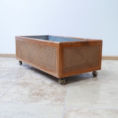 Mid-Century Rattan Indoor Planter, 1950s-JRP-623184