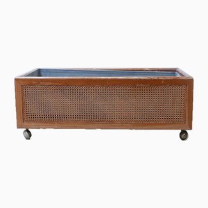 Mid-Century Rattan Indoor Planter, 1950s-JRP-623184