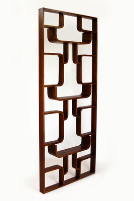 Mid-Century Room Divider attributed to Ludvik Volak for Drevopodnik Holesov, 1960s-WVS-1792362