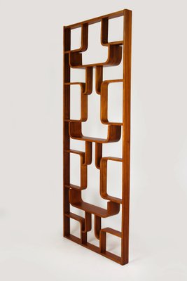 Mid-Century Room Divider attributed to Ludvik Volak for Drevopodnik Holesov, 1960s-WVS-1768477