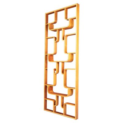 Mid-Century Room Divider by Ludvik Volak for Drevopodnik Holesov, 1960s-TRW-1750692