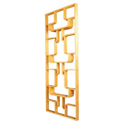 Mid-Century Room Divider by Ludvik Volak for Drevopodnik Holesov, 1960s-TRW-1750693