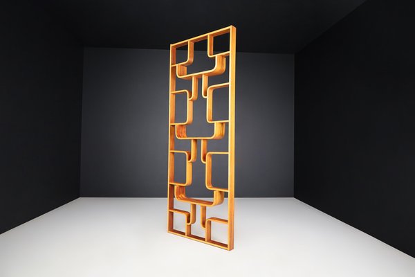 Mid-Century Room Divider by Ludvik Volak for Drevopodnik Holesov, 1960s-TRW-1750692