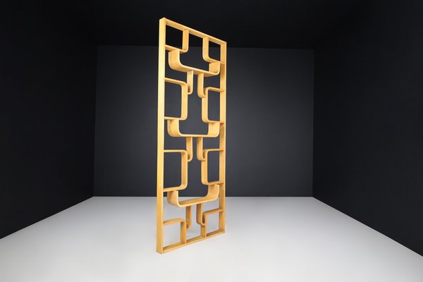 Mid-Century Room Divider by Ludvik Volak for Drevopodnik Holesov, 1960s-TRW-1750690