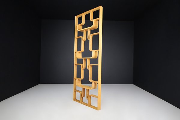 Mid-Century Room Divider by Ludvik Volak for Drevopodnik Holesov, 1960s-TRW-1750690