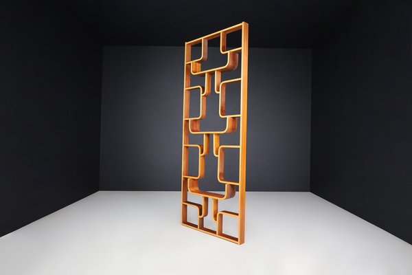 Mid-Century Room Divider by Ludvik Volak for Drevopodnik Holesov, 1960s-TRW-1750691