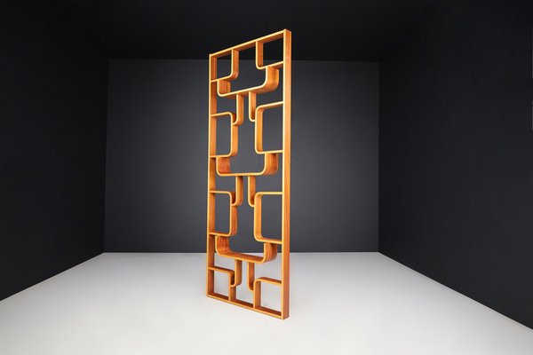 Mid-Century Room Divider by Ludvik Volak for Drevopodnik Holesov, 1960s-TRW-1750692