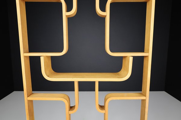 Mid-Century Room Divider by Ludvik Volak for Drevopodnik Holesov, 1960s-TRW-1750690