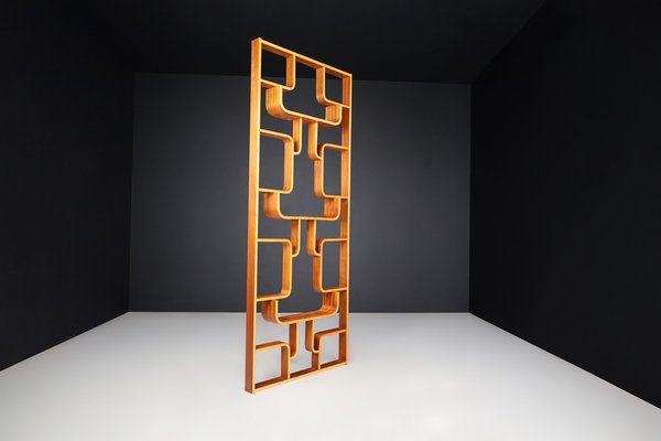 Mid-Century Room Divider by Ludvik Volak for Drevopodnik Holesov, 1960s-TRW-1750692