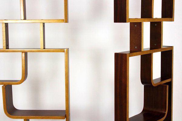 Mid-Century Room Divider by Ludvik Volak for Drevopodnik Holesov, 1960s-WVS-1797392