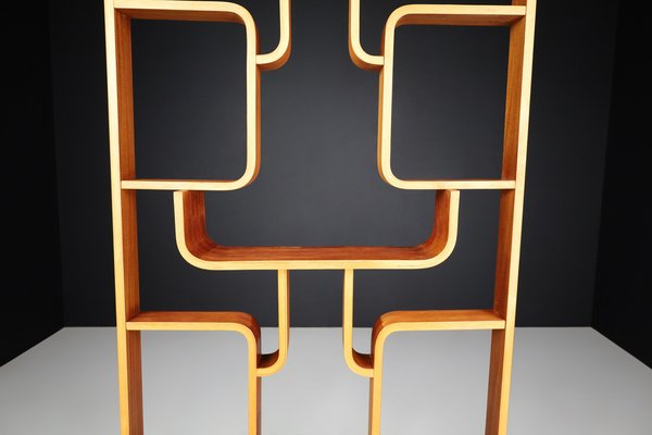 Mid-Century Room Divider by Ludvik Volak for Drevopodnik Holesov, 1960s-TRW-1750692