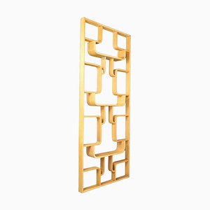 Mid-Century Room Divider by Ludvik Volak for Drevopodnik Holesov, 1960s-TRW-1750690