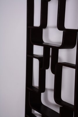 Mid-Century Room Divider in Dark Brown Oak attributed to Ludvik Volak for Drevopodnik Holesov, Former Czechoslovakia, 1960s-WHY-1768696