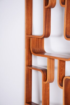 Mid-Century Room Divider in Mahogany attributed to Ludvik Volak for Drevopodnik Holesov, Former Czechoslovakia, 1960s-WHY-1768698