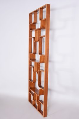 Mid-Century Room Divider in Mahogany attributed to Ludvik Volak for Drevopodnik Holesov, Former Czechoslovakia, 1960s-WHY-1768698