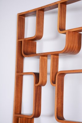 Mid-Century Room Divider in Mahogany attributed to Ludvik Volak for Drevopodnik Holesov, Former Czechoslovakia, 1960s-WHY-1768698