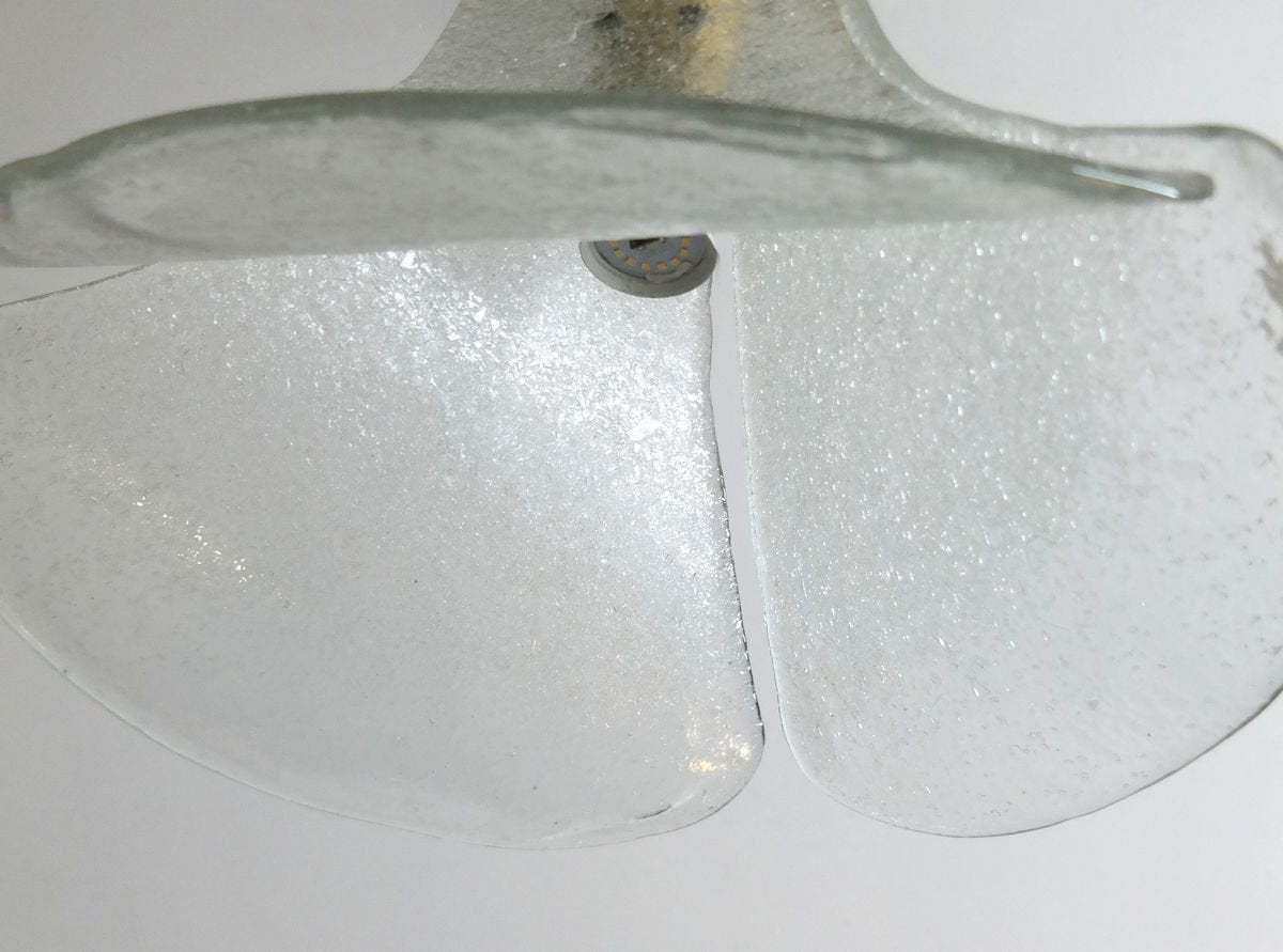 Mid-Century Smoked Glass Gingko Leaf Lamp by J.T. Kalmar for Franken KG, 1970s