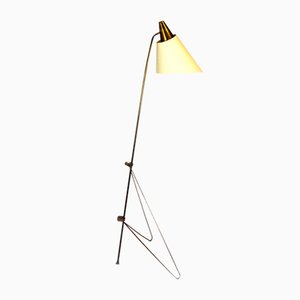 Mid-Century Space Age Giraffe Floor Lamp by Josef Hurka for Napako, 1950s-WVS-1355046