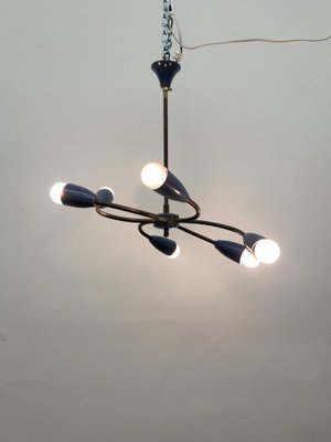 Mid-Century Spider Hanging Ceiling Lamp, 1950s-BGP-1765696