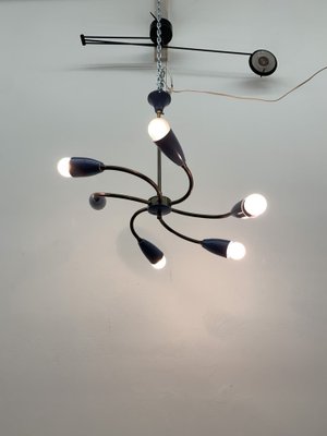 Mid-Century Spider Hanging Ceiling Lamp, 1950s-BGP-1765696